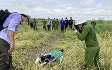 An Giang: Nóng lòng chuột cắn phá lúa, dùng điện bẫy dẫn đến chết người