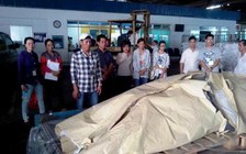 Hai người Việt bị bắn chết tại Angola là lao động tự do