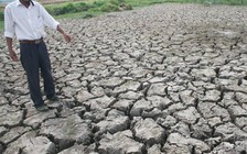 Tăng trưởng ngành nông nghiệp giảm mạnh