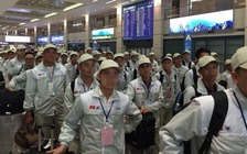 Thanh tra 5 doanh nghiệp xuất khẩu lao động