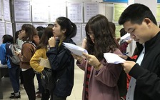 Thất nghiệp ở nhóm cử nhân, thạc sĩ giảm đáng kể