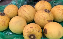 Quả thị đắt 'như tôm tươi' trong ngày rằm tháng 7