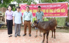 Hà Nội tạo việc làm, sinh kế bền vững cho người dân