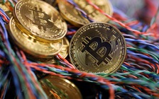 Bloomberg: Cơn sốt bitcoin ngày càng nhạt