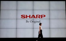 Sharp hủy bán 1,8 tỉ USD cổ phiếu vì căng thẳng thương mại Mỹ - Trung