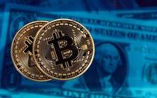 Khủng bố vẫn cố gây quỹ qua bitcoin, tiền mã hóa