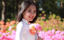 Người Việt trẻ tại đất nước hạnh phúc nhất thế giới