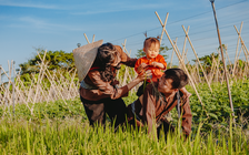 ‘Xa nhà rồi mới thấy thèm tết như thế nào'