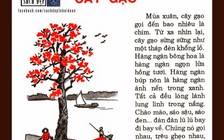 Rưng rưng hoài niệm từ bài tập đọc 'Cây gạo' của nhà văn Vũ Tú Nam