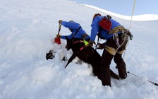 Thảm họa lở tuyết ở Pháp