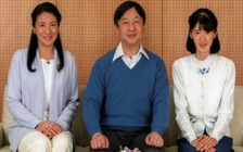 Thái tử Nhật Bản sẵn sàng kế vị