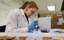 WHO cảnh báo thiếu kháng sinh toàn cầu