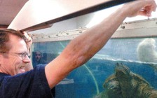 Giáo viên đút cún con còn sống cho rùa ăn bị truy tố