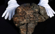 'Đại diện chùa ở Hà Nam' mua thiên thạch hơn 14 tỉ đồng