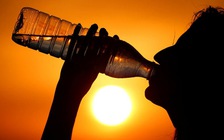 Thời tiết nắng nóng, số người qua đời tăng mạnh ở Hà Lan