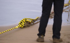 Lo ngại an ninh, Mỹ muốn chặn dự án cáp quang xuyên Thái Bình Dương