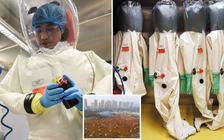 Từng có cảnh báo nguy cơ vi rút nguy hiểm xổng khỏi phòng thí nghiệm Vũ Hán