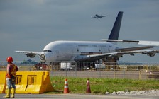 Singapore mở cửa không cách ly cho người đã tiêm ngừa Covid-19 từ 8 quốc gia