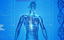 Đột phá 'keo tế bào’ chữa lành vết thương, tái tạo dây thần kinh