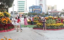 Người trẻ có thờ ơ trước virus corona?