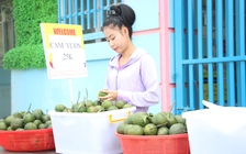 Tin tức giáo dục đặc biệt trên báo in ngày mai 2.5.2020