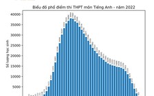 Phổ điểm thi tốt nghiệp THPT 2022: Trên 50% bài thi tiếng Anh dưới điểm trung bình