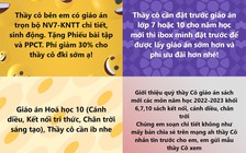 Nguy hại khi mua giáo án trên mạng