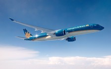 Covid-19: Vietnam Airlines tạm ngưng đường bay Việt Nam - Hàn Quốc