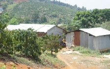 Thu hồi đất cấp sai cho một nguyên Ủy viên Thường vụ Tỉnh ủy: Thu hồi sổ đỏ nhưng chưa thu hồi đất trên thực địa