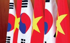 Việt Nam - Hàn Quốc đạt nhiều thành tựu to lớn trên các lĩnh vực