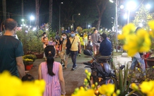 Chợ hoa công viên Gia Định, TP.HCM: Giá tăng, khách mua đông nghịt tối 28 tháng Chạp