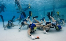 Khúc côn cầu... dưới nước