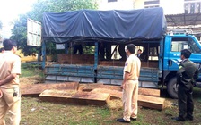 Điều tra kho gỗ hàng trăm khối không nguồn gốc