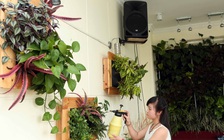 Làm nông trên phố: Ý tưởng trang trại cho... chung cư