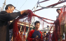 Ngư dân tố hải cảnh Trung Quốc dọa 'bắn chết': Đúng là bọn cướp biển