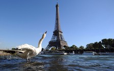 Pháp bắt 2 thiếu nữ định tấn công Paris