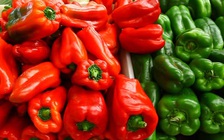 Ăn gì có ích cho việc giảm cân?