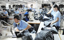 Không lo doanh nghiệp nhỏ, chỉ lo thiếu liên kết