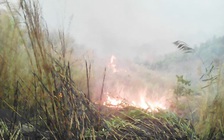 Núi Chứa Chan lại cháy lớn