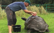 Tắm lần đầu sau 184 năm