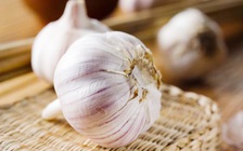 Những thực phẩm có thể ngừa ung thư vú