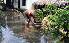 Bổ sung lợi khuẩn giúp ích cho tư duy người lớn tuổi