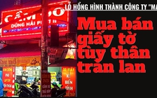 Tin tức thời sự đặc biệt báo in ngày 15.7.2020