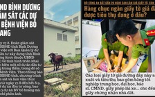 Tin tức thời sự đặc biệt báo in ngày 28.8.2020