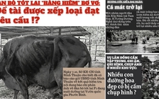 Tin tức thời sự đặc biệt báo in ngày 8.10.2020