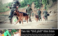 Tin tức thời sự đặc biệt báo in ngày 16.11.2020