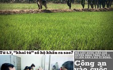 Tin tức thời sự đặc biệt báo in ngày 12.4.2021