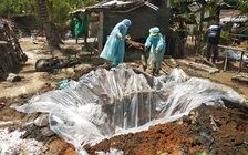 Vĩnh Long xuất hiện 2 ổ dịch tả lợn châu Phi