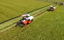 Xây dựng Bảo tàng Nông nghiệp vùng ĐBSCL với kinh phí 400 tỉ đồng