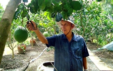 Ông Hai Nghĩa, người luôn đau đáu với cái khó, cái nghèo của nông dân